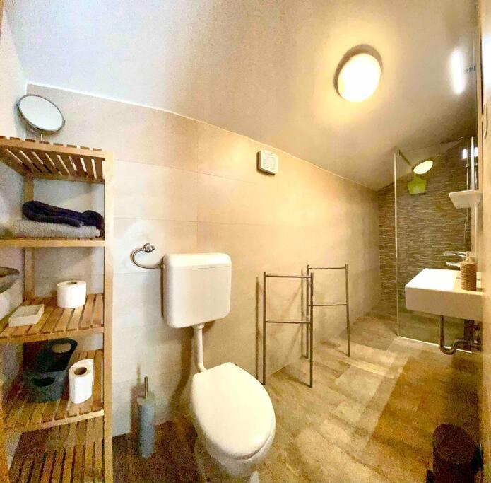 Апартаменты Casa Rustica Buici  Экстерьер фото